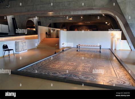 The Gallo-Roman Museum! An Unexpected Journey Through Time and Treasures