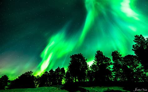 The Northern Lights Park: Dancing Aurora Borealis and Breathtaking Night Skies!